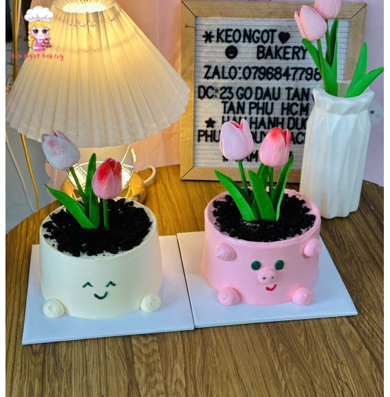 Bánh Kem chậu hoa